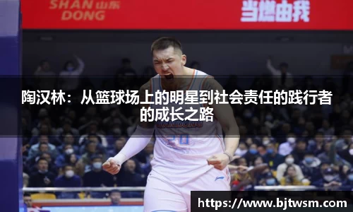 陶汉林：从篮球场上的明星到社会责任的践行者的成长之路